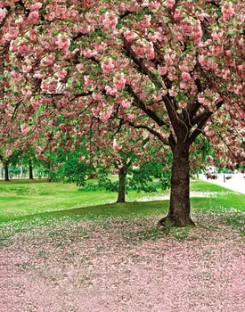 Пролетта на розови цветя, фонове, за снимки, подпори за фотосесия, студиен фон 5x7 фута