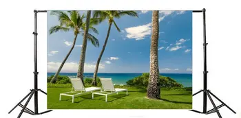 Фон за снимки, приморски бял плажен стол, Кокосова палма, Зелена трева, поляна, Синьо небе, бял облак, природен пейзаж